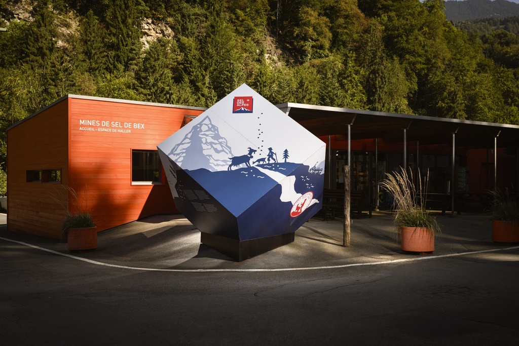 Visite Explosive, adulte